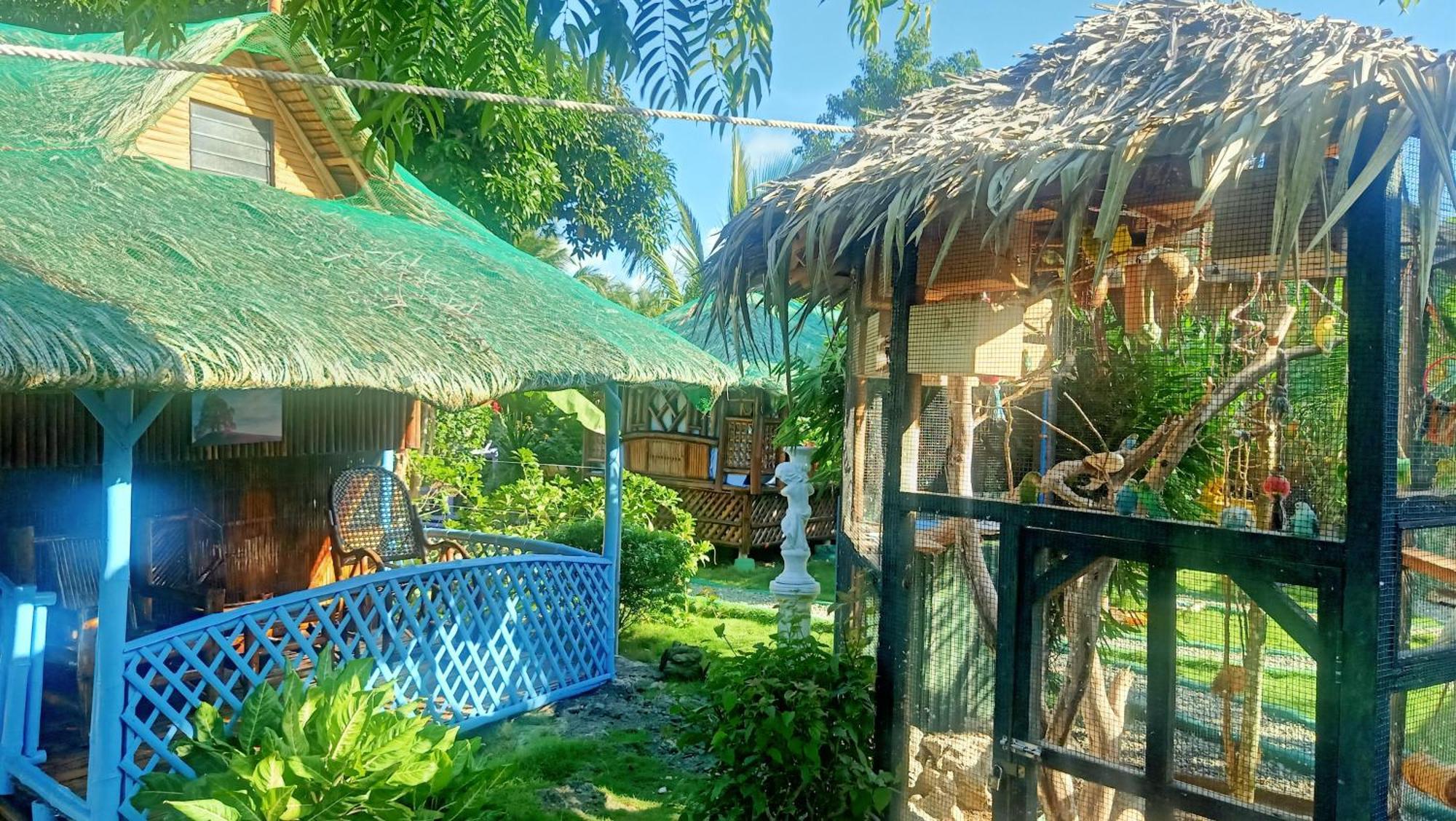 Moalboal Bamboo House / Rooms Quarto foto