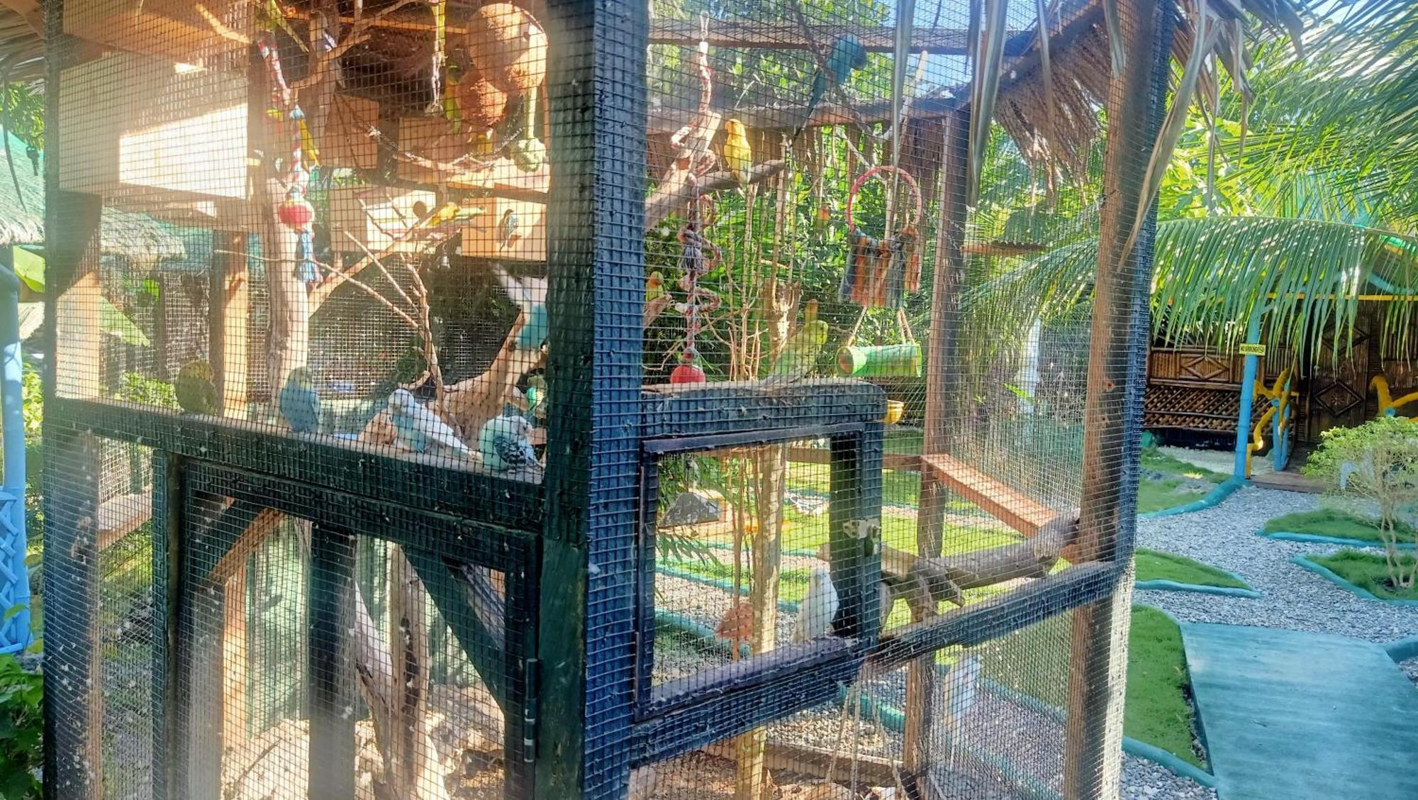 Moalboal Bamboo House / Rooms Quarto foto